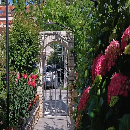 Penthouse Stella Διαμέρισμα